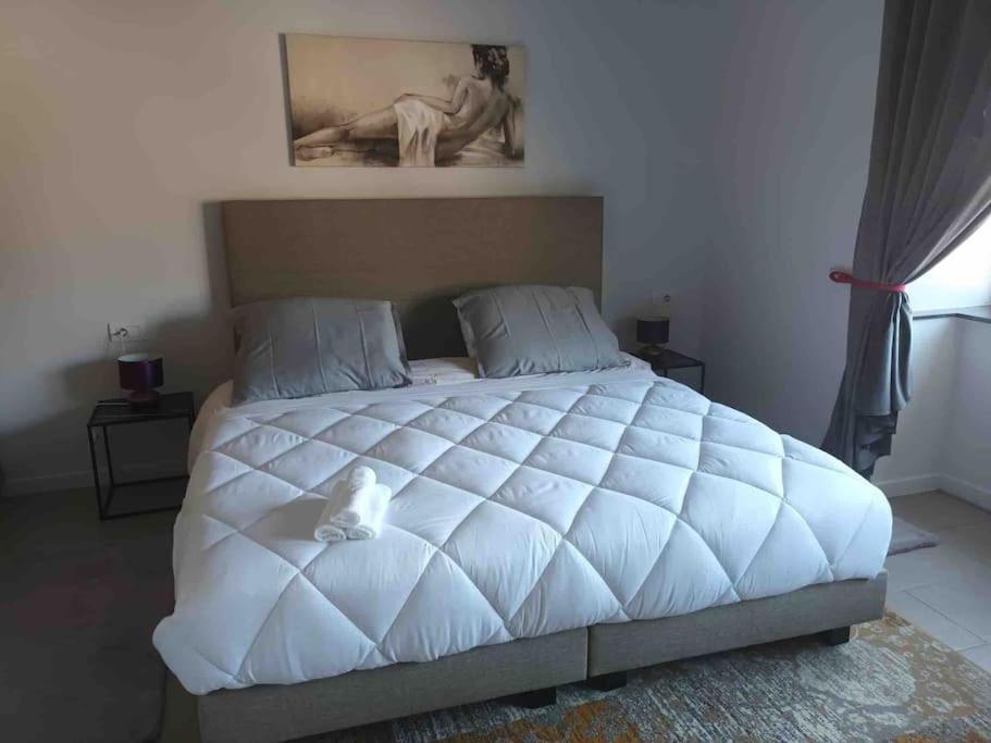 Appartamento Confortevole Deinze Exteriör bild